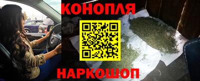 гидра Бийск