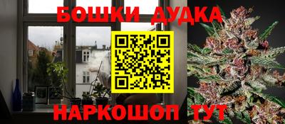 крисы Беслан