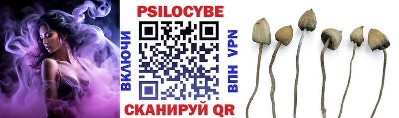 где можно купить наркотик  Старый Оскол  Галлюциногенные грибы Psilocybine cubensis 